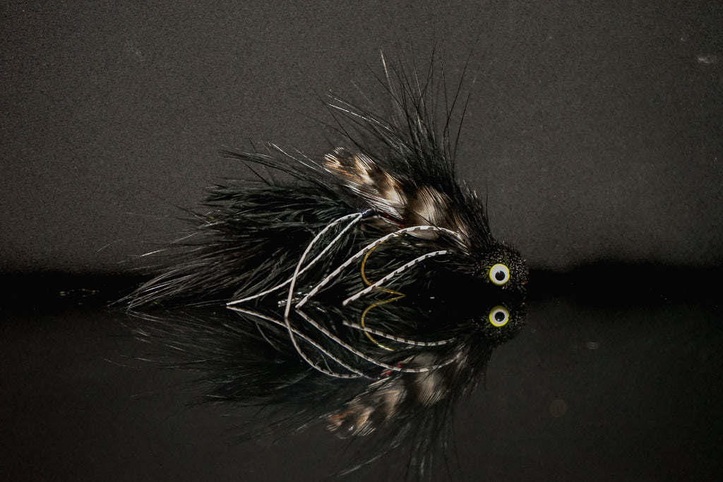 Sex Dungeon Meat Market Flies