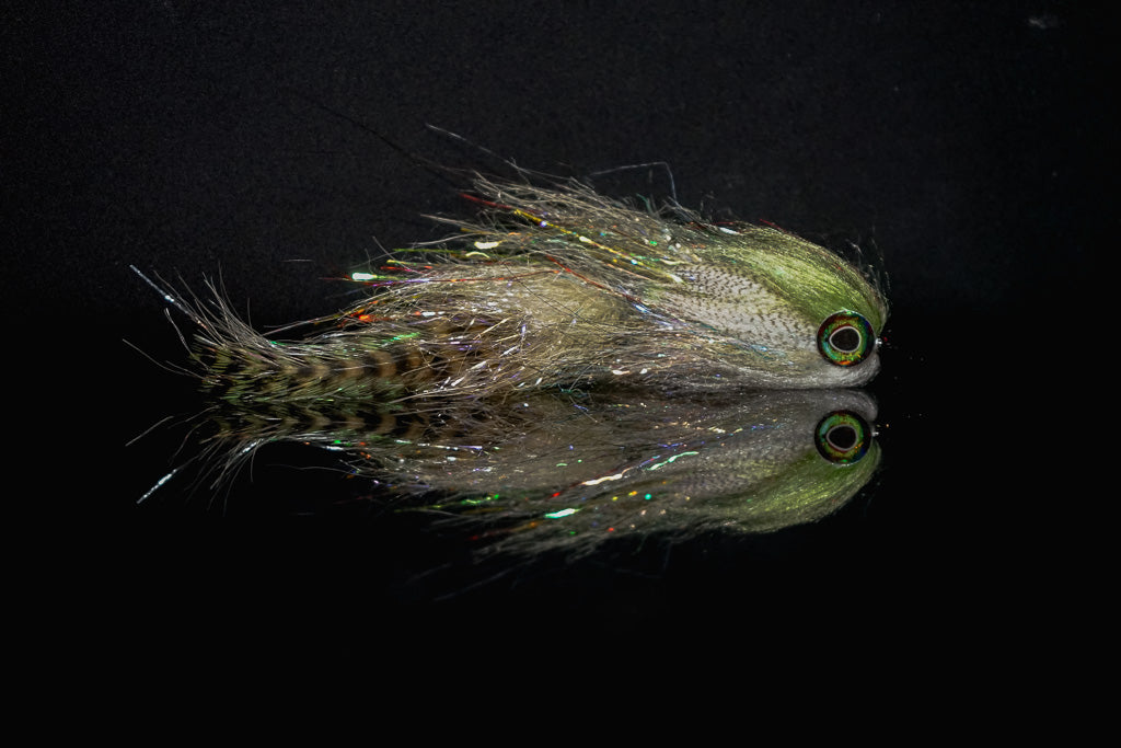 Dusty Moth Meat Market Flies